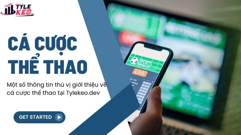 Một số thông tin thú vị giới thiệu về cá cược thể thao tại anasayfada.net